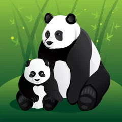 Crédence de cuisine en verre imprimé Zoo Famille Panda