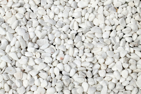 fond de galets blancs