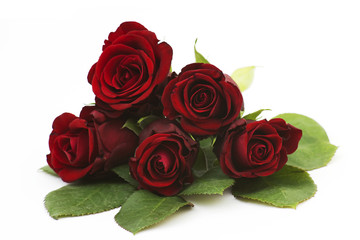 red roses