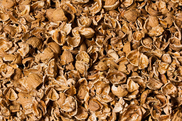 Textur Walnüsse