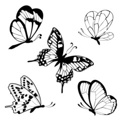 Set  black white butterflies of a tattoo