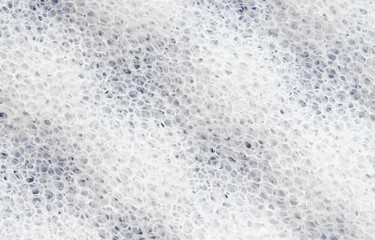 sponge