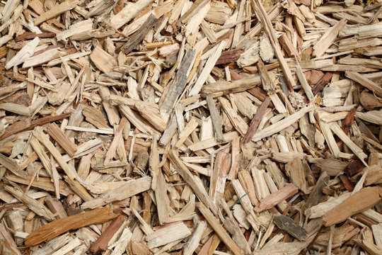 paillage en bois broy&eacute;s
