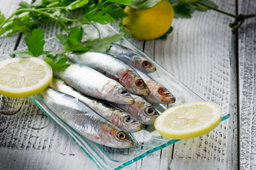 sardines with salt - sardine sotto sale