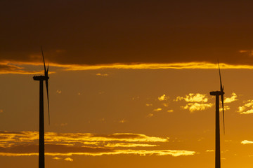 Fototapeta na wymiar Wind Turbines in Sunset