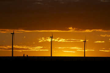 Fototapeta na wymiar Wind Farm in Sunset