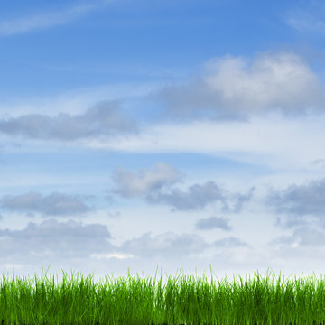 Grass with a beautiful sky