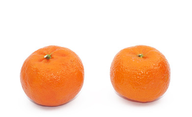 Fresh Fruits on white background