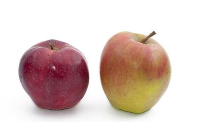 Fresh Fruits on white background