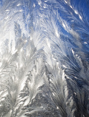 Frosty pattern at a window