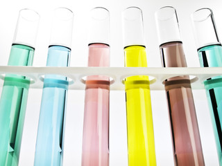 Test tubes filled with colored fluid