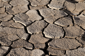 Cracked lifeless soil