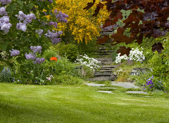 Idyllic garden with stone path and stairs, and plants