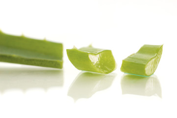 aloe vera. shallow doff