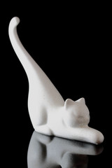 China Cat on Isolated Black Background