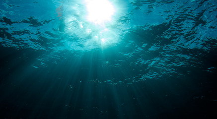 Fototapeta na wymiar Wiązek światła podwodne