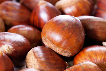 hazelnuts