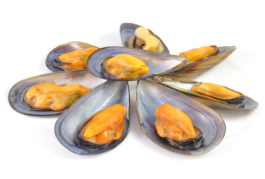 Raci&oacute;n de mejillones.