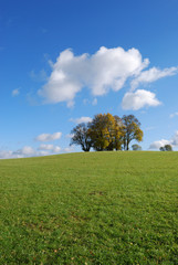 Obraz premium Der Herbst