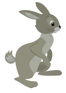 vector illustration of gray rabbit