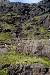 seals at skye island
