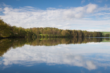 Obraz premium Reflection on the pond in summer