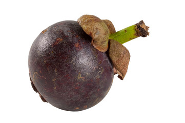 Mangostane, Purple Mangosteen, Garcinia mangostana