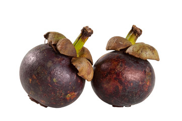 Mangostane, Purple Mangosteen, Garcinia mangostana