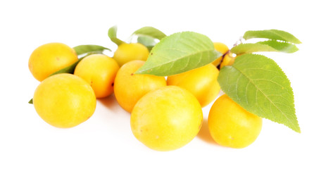 yellow  plums