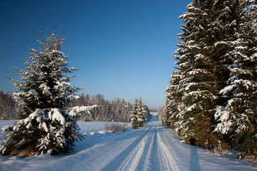 Winter road