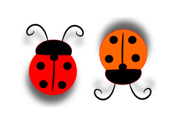 coccinelle opposte