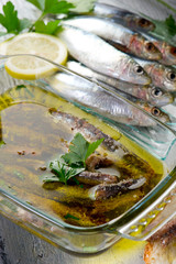 sardines under oil-sardine sotto olio