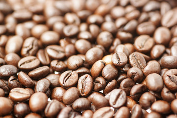 roasted coffee beans