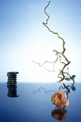 Still life- meditation