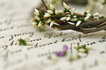Heather Wreath