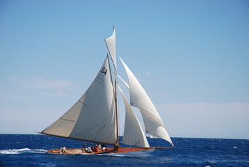 Fototapeta premium classic yacht under full sail sailing in regatta