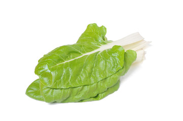 acelgas