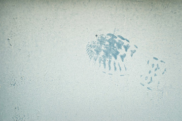 Blue Footprint