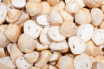 Mushroom hemispherical part