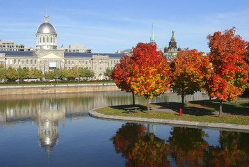 Old Montreal in autumn, Quebec, Canada - obrazy, fototapety, plakaty