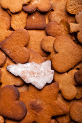 Traditional home baked ginger cookies