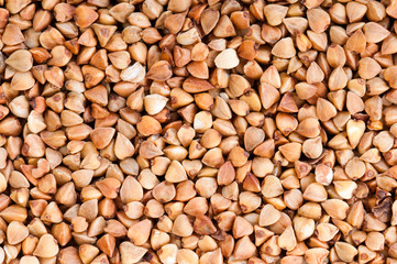 buckwheat texture