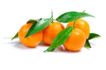 Arrangement of mandarin on a white background