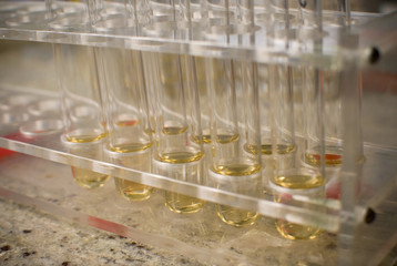 Laboratory test tubes