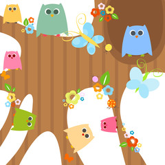 owls