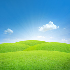 Green field with blue sky