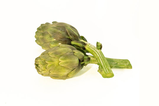 carciofo