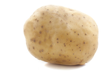 Potato