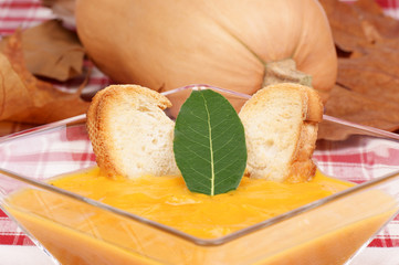 Cream of squash soup