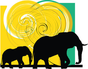 Elefant illustration